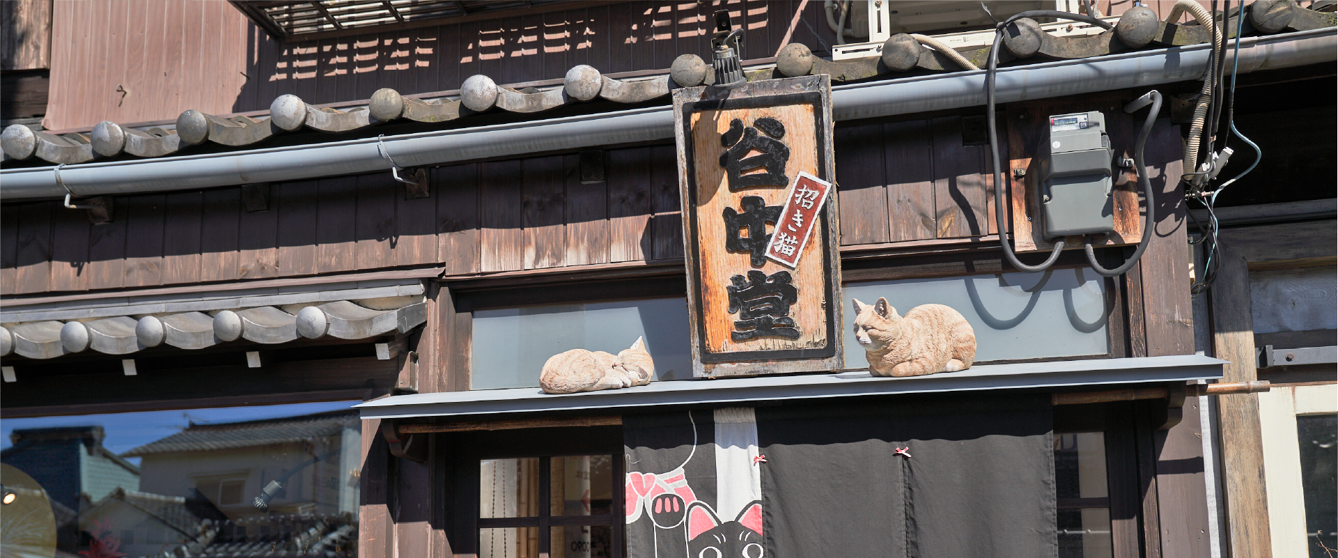 img20250705181003698515.png